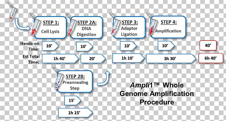 DNA Polymerase Chain Reaction Technology Genome Cell PNG, Clipart, Angle, Area, Brand, Business, Cell Free PNG Download