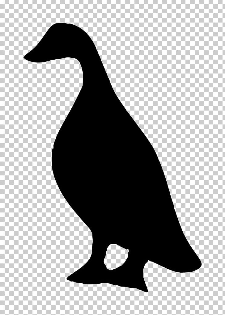 Duck Bird Silhouette Goose PNG, Clipart, Anatidae, Animals, Artwork, Beak, Bird Free PNG Download
