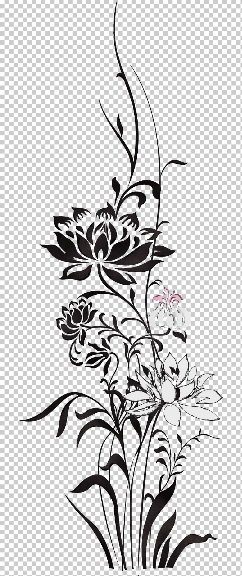 Floral Design PNG, Clipart, Blackandwhite, Floral Design, Floral Line, Flower, Flower Background Free PNG Download