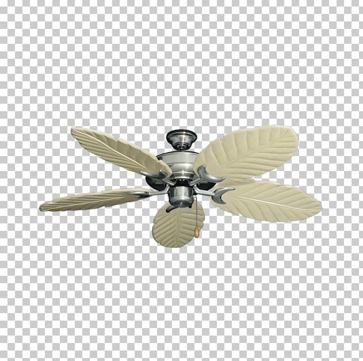 Ceiling Fans The Home Depot Lighting PNG, Clipart,  Free PNG Download