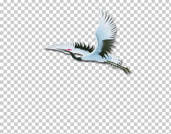 Crane Icon PNG, Clipart, Adobe Illustrator, Beak, Bird, Crane, Crane Bird Free PNG Download
