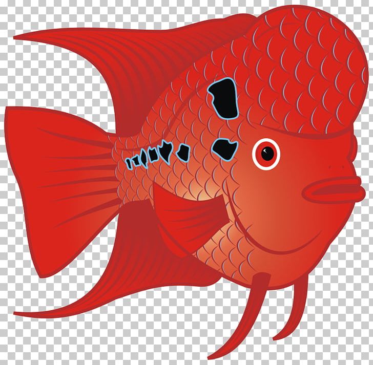 Flowerhorn Cichlid Goldfish PNG, Clipart, Animals, Aquarium, Art, Cichlid, Download Free PNG Download