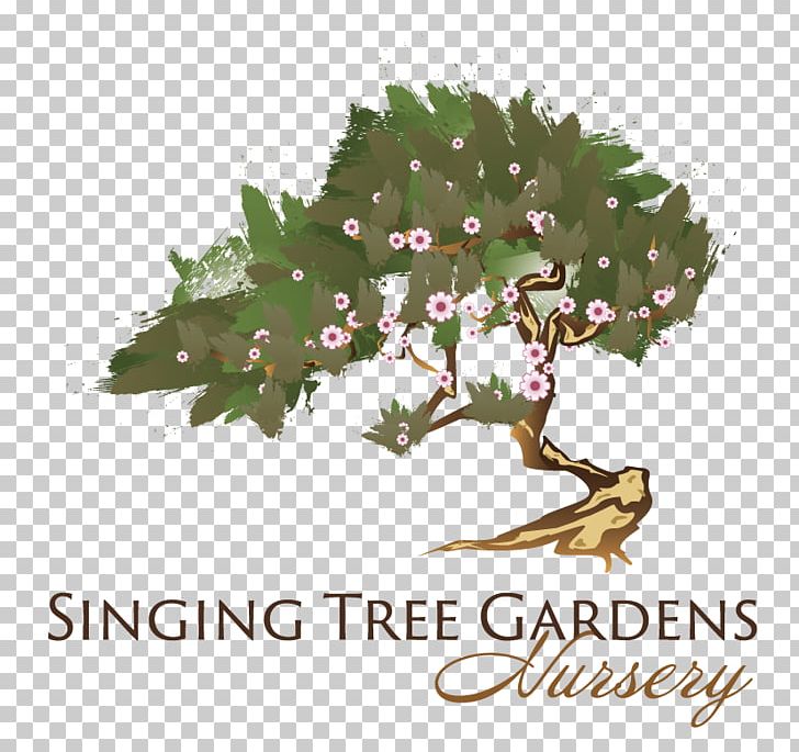 Tree Garden Mediterranean Cypress Conifers Nursery PNG, Clipart, Branch, Conifers, Cupressus, Fir, Flora Free PNG Download