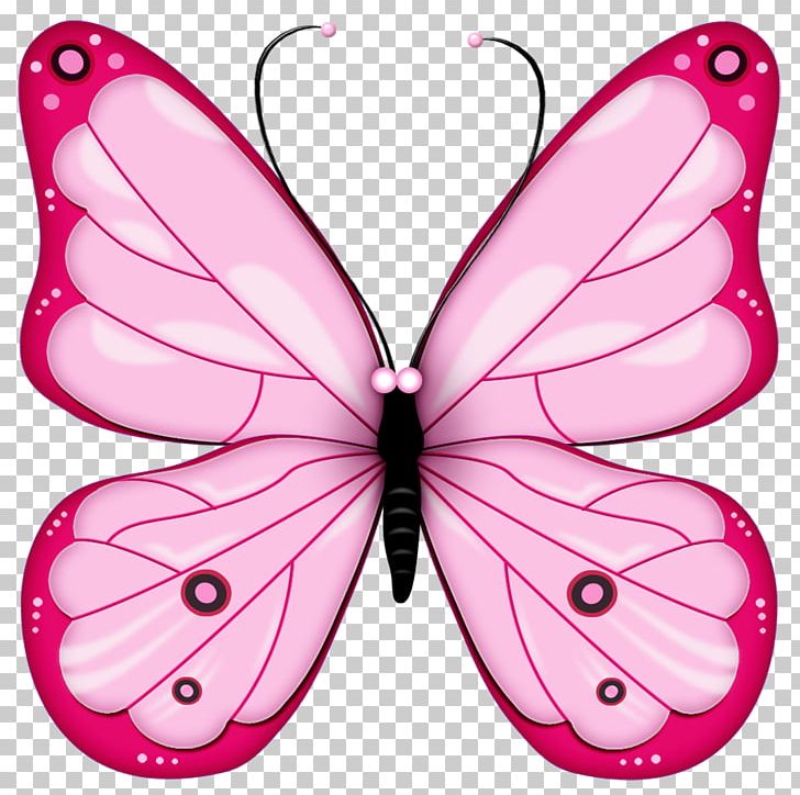 Butterfly PNG, Clipart, Arthropod, Brush Footed Butterfly, Butterfly, Clipping Path, Color Free PNG Download