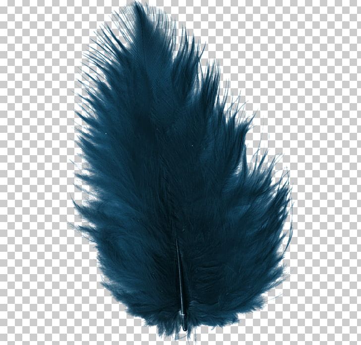 Feather Blue PNG, Clipart, Animals, Art, Blue, Clip Art, Color Free PNG Download