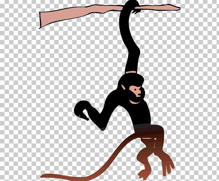 Ape Spider Monkey PNG, Clipart, Animals, Ape, Art, Artwork, Beak Free PNG Download