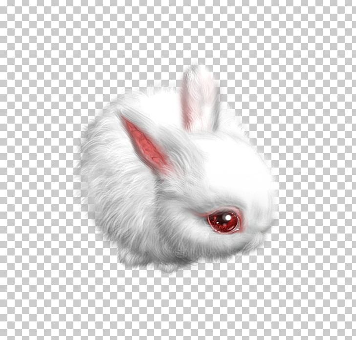 Domestic Rabbit Hare Little White Rabbit PNG, Clipart, Animal, Animals, Computer Icons, Domestic Rabbit, Download Free PNG Download