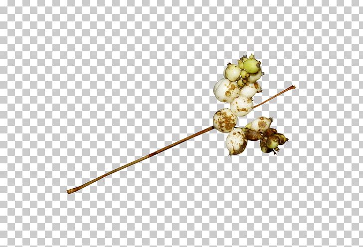 Flower Vegetation Advertising Plant Drawing PNG, Clipart, Advertising, Body Jewellery, Body Jewelry, Chemical Element, Drawing Free PNG Download