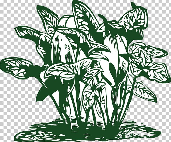 Tropics Plant PNG, Clipart, Beach Vegetation, Black And White, Computer Icons, Download, Fictional Character Free PNG Download