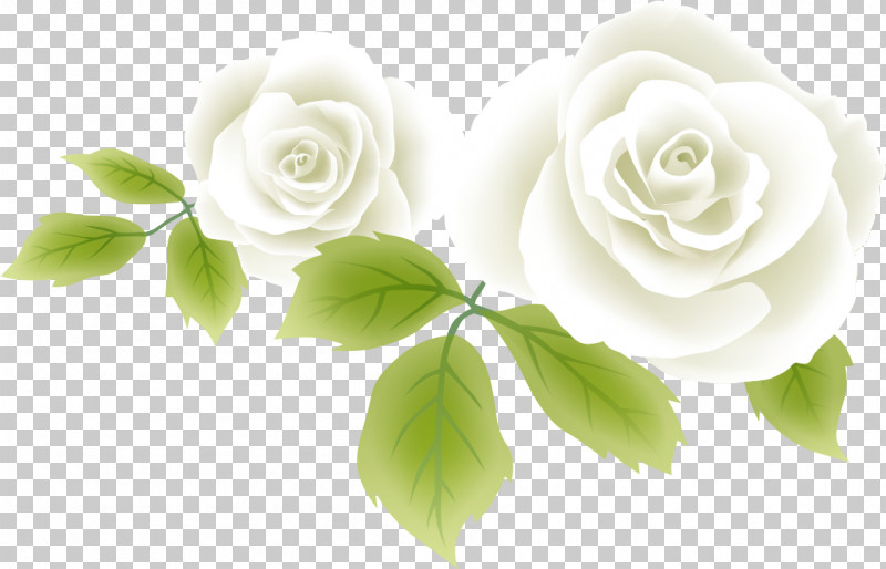 Two Flowers Two Roses Valentines Day PNG, Clipart, Artificial Flower, Cut Flowers, Floribunda, Flower, Garden Roses Free PNG Download