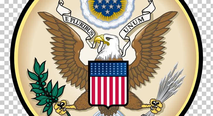 Great Seal Of The United States E Pluribus Unum Seal Of The President Of The United States Seal Of The United States Senate PNG, Clipart, Beak, Citizen, Eagle, Emblem, Great Seal Of The United States Free PNG Download