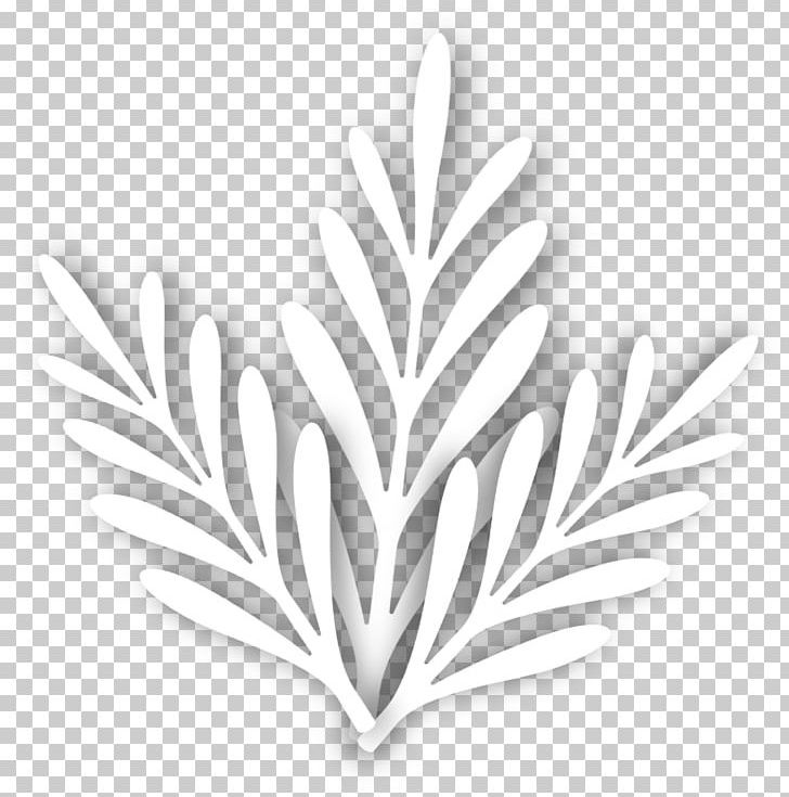 Leaf White Tree PNG, Clipart, Beyaz, Black And White, Cicek, Cicek Desenleri, Desenleri Free PNG Download