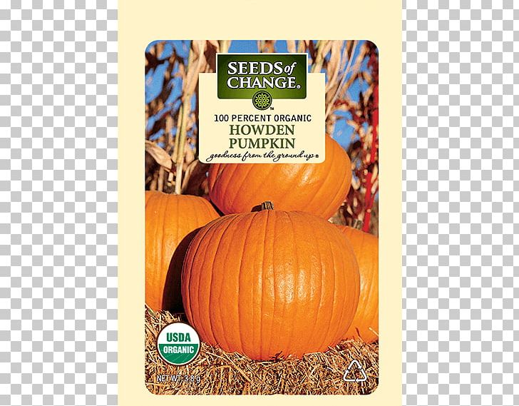 Pumpkin Winter Squash Organic Certification Organic Food Thanksgiving PNG, Clipart, Calabaza, Certification, Cucurbita, Gourd, Gourdm Free PNG Download