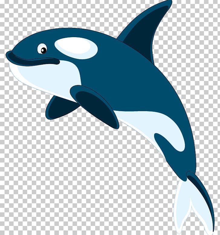 Common Bottlenose Dolphin Killer Whale Swimming Pool PNG, Clipart, Bottlenose Dolphin, Common Bottlenose Dolphin, Dolphin, Fin, Fish Free PNG Download