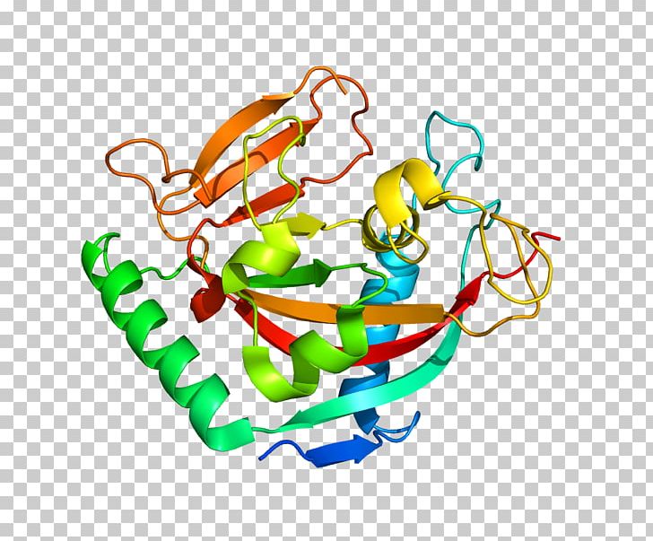 Protein Structure Gene PNG, Clipart, Area, Art, Artwork, Enzyme, Gene Free PNG Download