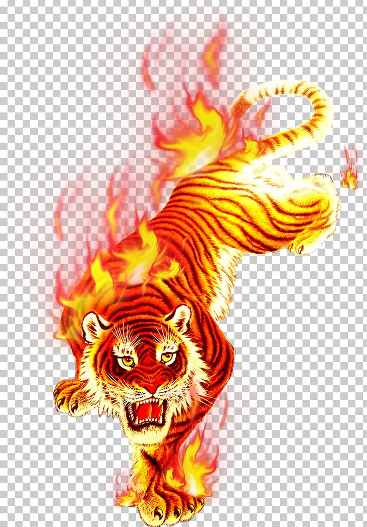 Tiger Flame Fire PNG, Clipart, Animals, Camera Lens, Combustion, Computer, Computer Wallpaper Free PNG Download