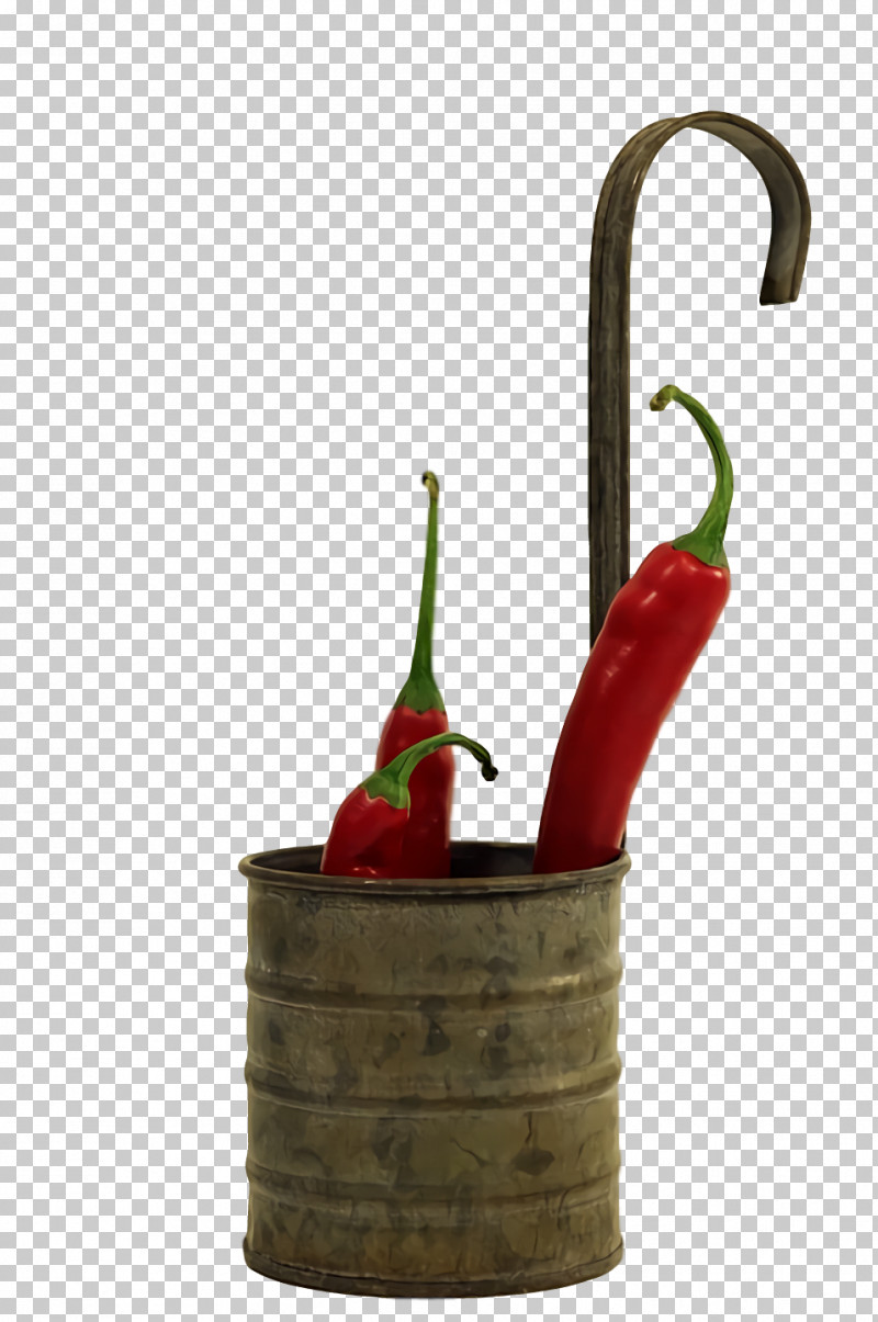 Chili Pepper Flowerpot PNG, Clipart, Chili Pepper, Flowerpot Free PNG Download