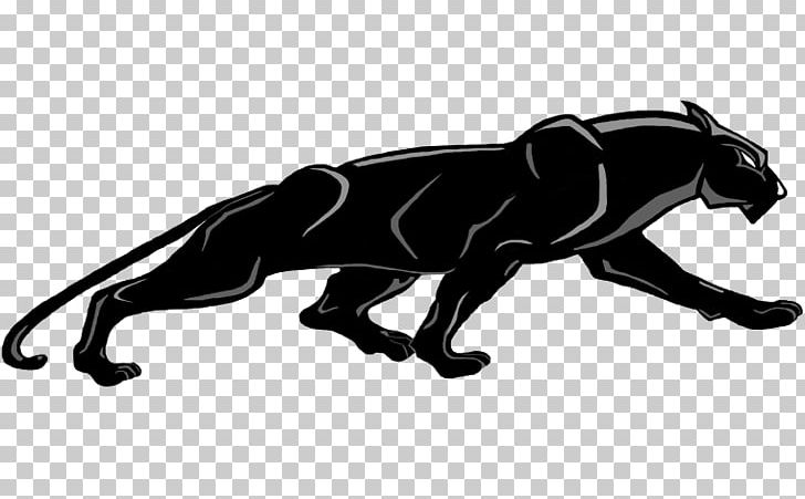 Carolina Panthers Jaguar Leopard PNG, Clipart, Animals, Big Cats, Black, Carnivoran, Carolina Panthers Free PNG Download