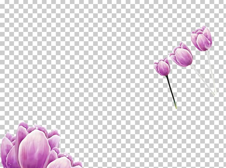 Purple Tulip PNG, Clipart, Clear, Color, Computer Wallpaper, Encapsulated Postscript, Flower Free PNG Download