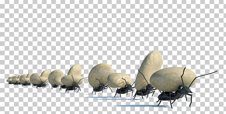 Ant Stock Photography PNG, Clipart, Ants, Ants Vector, Can Stock Photo, Concept, Free Material Free PNG Download