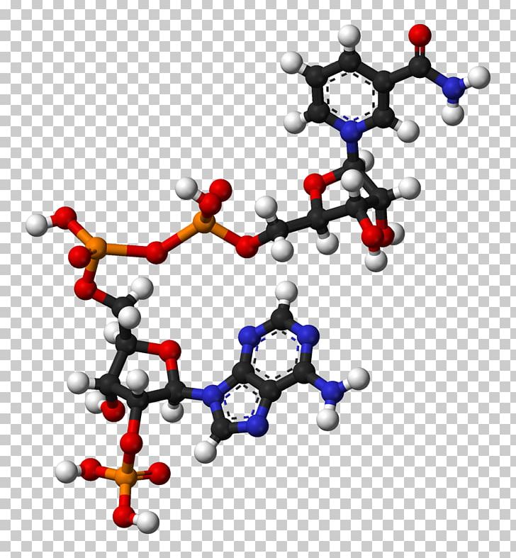 Nicotinamide Adenine Dinucleotide Phosphate Flavin Adenine Dinucleotide Redox PNG, Clipart, 3 D, Adenine, Adenosine Triphosphate, Area, Ball Free PNG Download