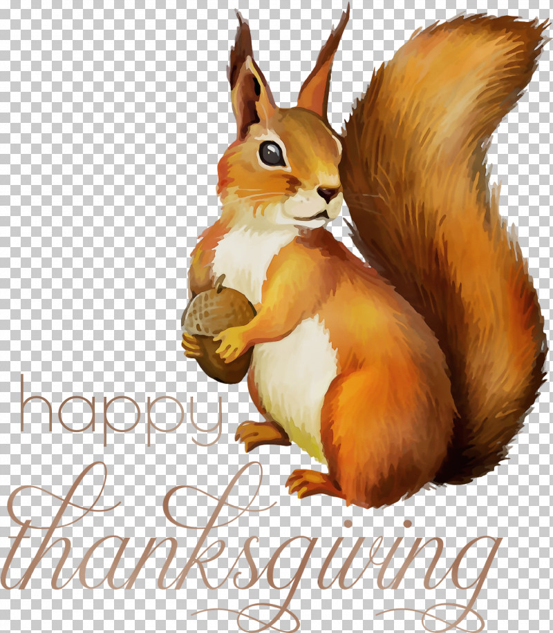 Squirrels Chipmunks Drawing Tree Squirrel Red Squirrel PNG, Clipart, Cartoon, Chipmunks, Drawing, Fox Squirrel, Happy Thanksgiving Free PNG Download
