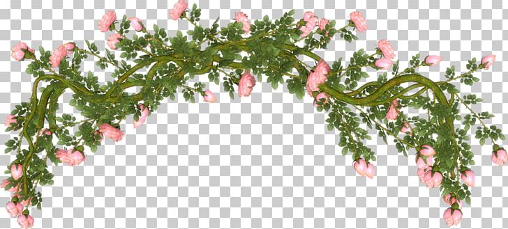 Cut Flowers Rose PNG, Clipart, Blue, Branch, Cut Flowers, Desktop Wallpaper, Floral Design Free PNG Download