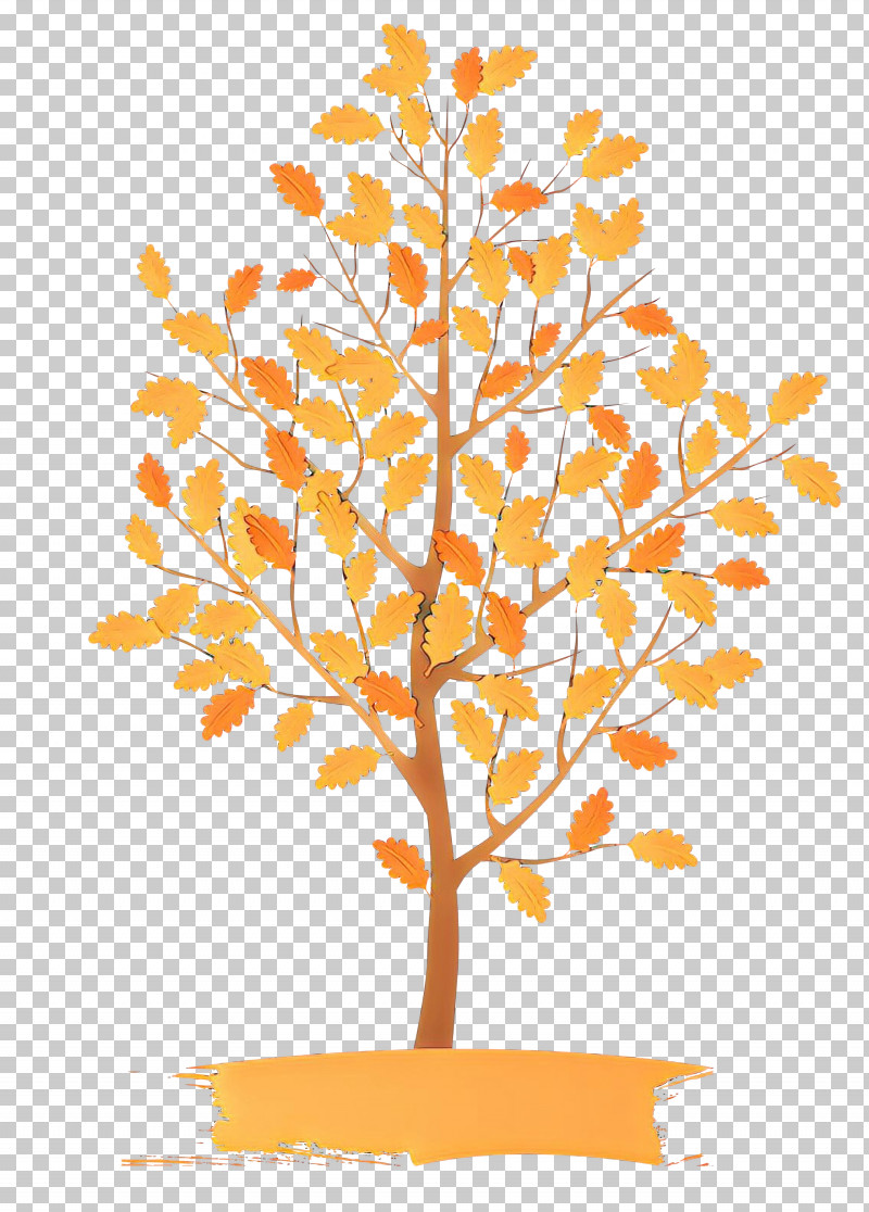 Orange PNG, Clipart, Branch, Leaf, Orange, Plant, Plant Stem Free PNG Download