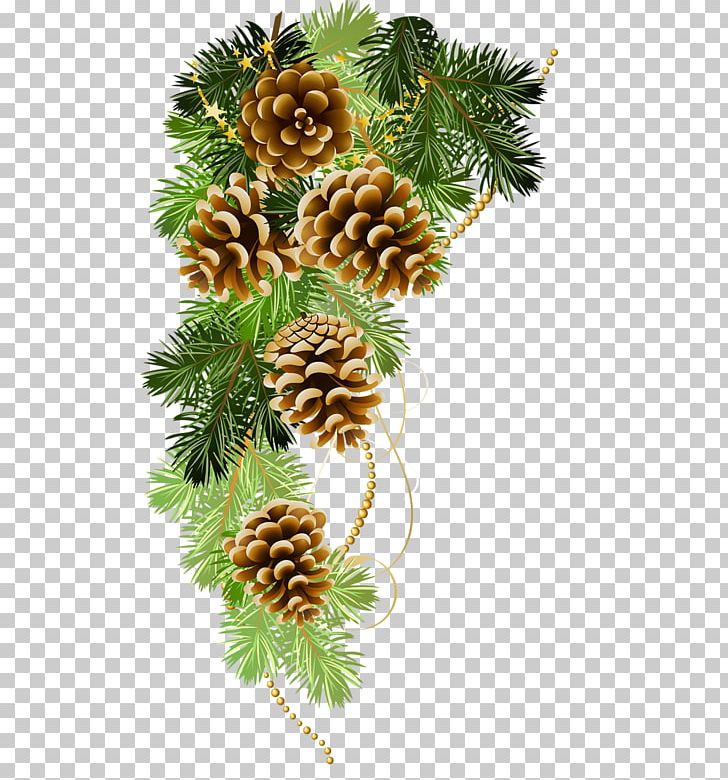 Christmas Ornament Christmas Day Christmas Decoration Fir PNG, Clipart, Branch, Christmas Day, Christmas Decoration, Christmas Ornament, Christmas Tree Free PNG Download