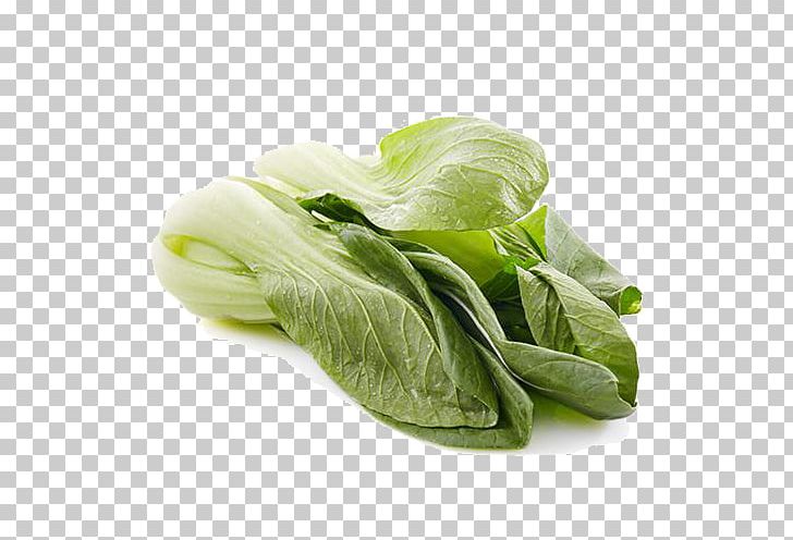 Romaine Lettuce COFCO Womaiwang Cruciferous Vegetables Komatsuna PNG, Clipart, Auglis, Beijing, Cabbage, Food, Food Drinks Free PNG Download