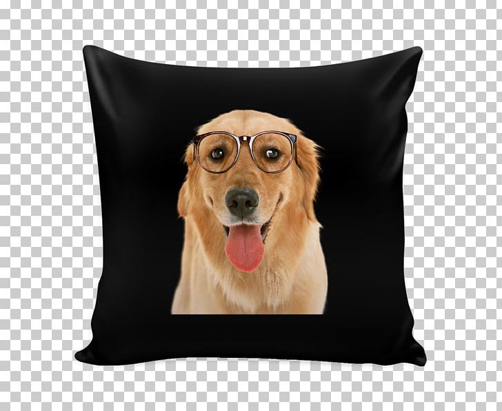 Dog Breed Golden Retriever Puppy Companion Dog PNG, Clipart, Animals, Breed, Carnivoran, Companion Dog, Cushion Free PNG Download
