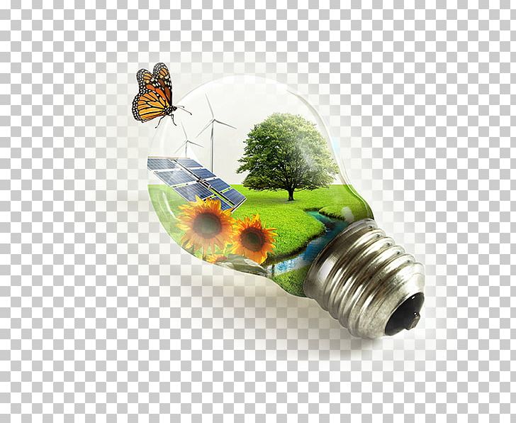 Pollution Environmental Protection Environmental Movement Environmentalism PNG, Clipart, Environmentalism, Environmental Movement, Environmental Protection, Environmental Psychology, Insect Free PNG Download