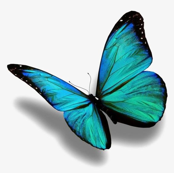 Blue Butterfly PNG, Clipart, Animal, Blue Clipart, Butterfly Clipart, Creative, Moth Free PNG Download