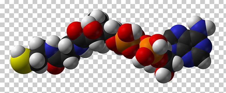 Molybdenum Cofactor Coenzyme A Tetrahydromethanopterin PNG, Clipart, Coenzyme, Coenzyme A, Coenzyme M, Coenzyme Q10, Cofactor Free PNG Download