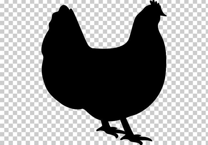 Orpington Chicken Cornish Chicken Computer Icons PNG, Clipart, Animals, Beak, Bird, Black And White, Chicken Free PNG Download