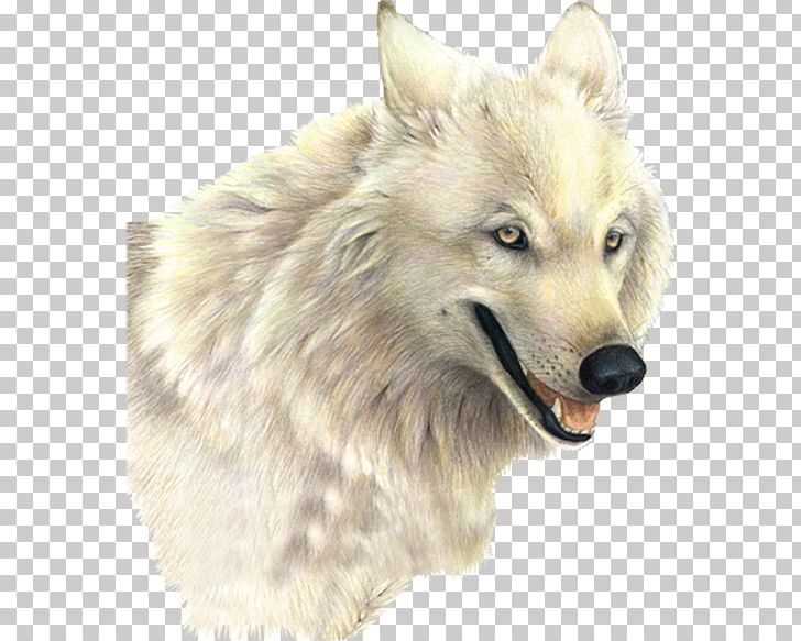 Arctic Wolf PNG, Clipart, Arctic Wolf, Carnivoran, Desktop Wallpaper, Dog Breed, Dog Breed Group Free PNG Download