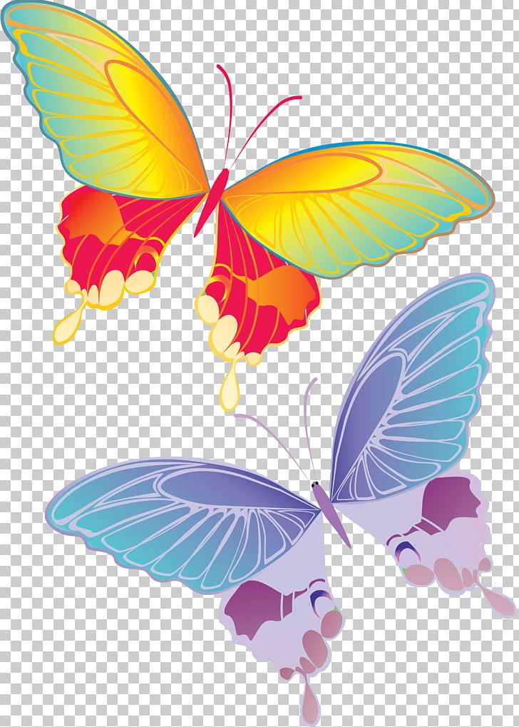 Butterfly PNG, Clipart, Animal, Arthropod, Brush Footed Butterfly, Butterfly, Color Free PNG Download