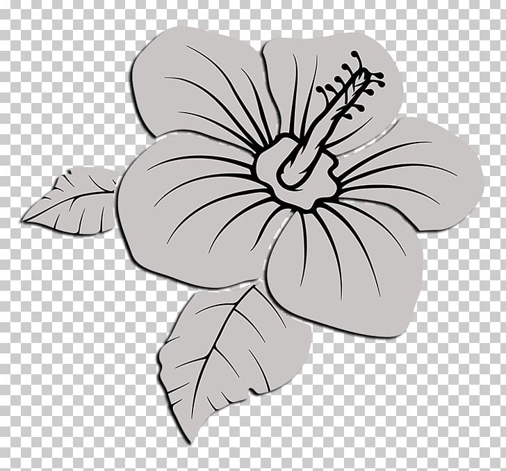 Delta Sigma Theta Drawing PNG, Clipart, Black And White, Cut Flowers, Delta Sigma Theta, Drawing, Dreams Of The Virtuous Free PNG Download