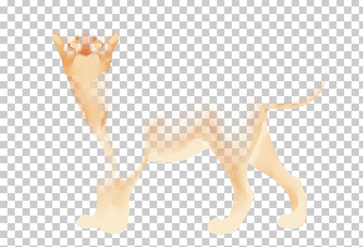 Whiskers Cat Canidae Dog Snout PNG, Clipart, Animals, Canidae, Carnivoran, Cat, Cat Like Mammal Free PNG Download