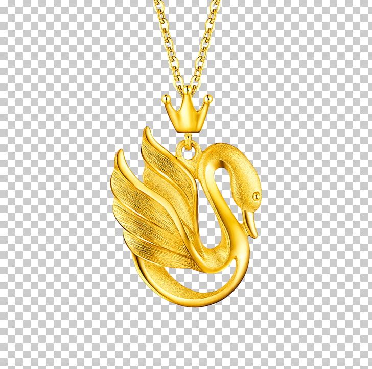 Locket Cygnini Necklace Gold Pendant PNG, Clipart, Accessories, Animals, Black Swan, Chain, Colored Gold Free PNG Download
