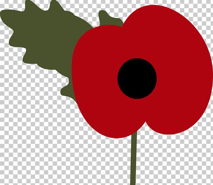 United Kingdom Armistice Day Remembrance Poppy Remembrance Sunday PNG, Clipart, Armistice Day, Common Poppy, Flower, Lest We Forget, Moment Of Silence Free PNG Download