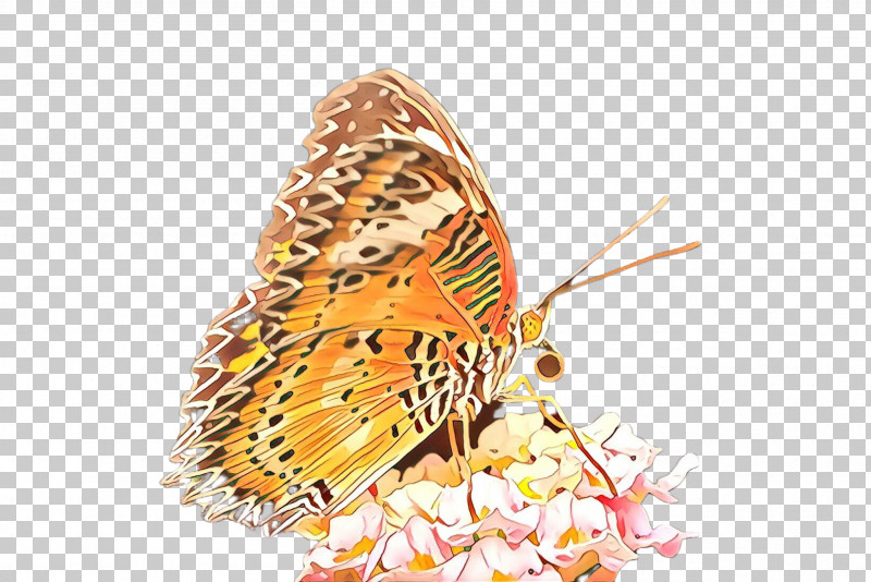 Cynthia (subgenus) Insect Butterfly Moths And Butterflies Argynnis PNG, Clipart, Argynnis, Boloria, Butterfly, Cynthia Subgenus, High Brown Fritillary Free PNG Download