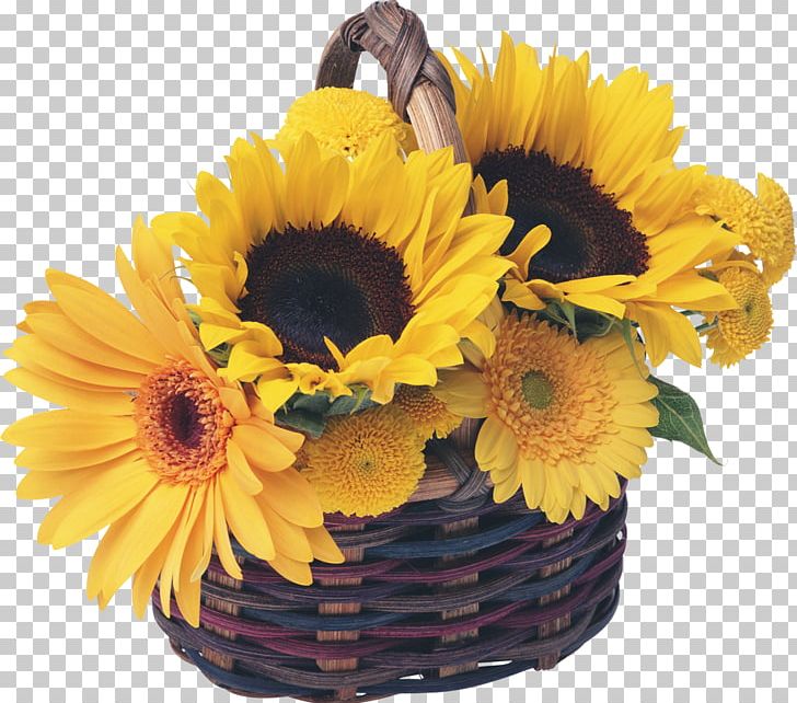 Basket Common Sunflower Garden PNG, Clipart, Basket, Common Sunflower, Cut Flowers, Daisy Family, Floral Design Free PNG Download