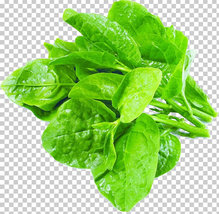 Choy Sum Malabar Spinach Leaf Vegetable PNG, Clipart, Boiling, Bok Choy, Chard, Choy Sum, Cooking Free PNG Download