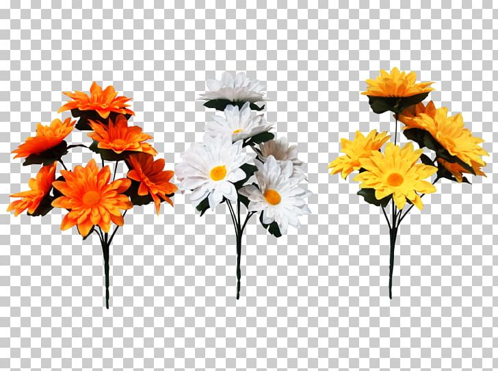Cut Flowers Daisy Family Transvaal Daisy Artificial Flower PNG, Clipart, Artificial Flower, Aster, Chrysanthemum, Chrysanths, Common Sunflower Free PNG Download