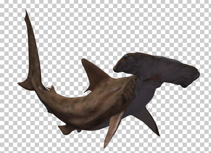 Hammerhead Shark Great Hammerhead Animal PNG, Clipart, Animal, Animals, Antler, Batoidea, Cartilaginous Fish Free PNG Download