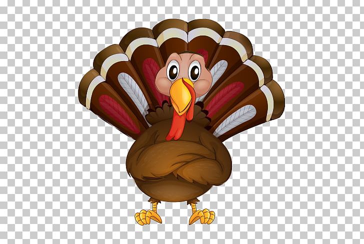 Turkey Meat Thanksgiving Toe PNG, Clipart, Beak, Bird, Chicken, Coloring Book, Domesticated Turkey Free PNG Download