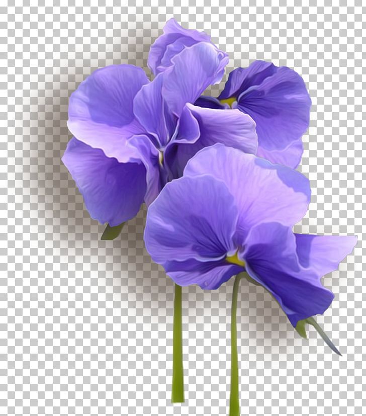 Viola Tricolor PNG, Clipart, Blue, Clip Art, Cut Flowers, Decorative Patterns, Drawing Free PNG Download