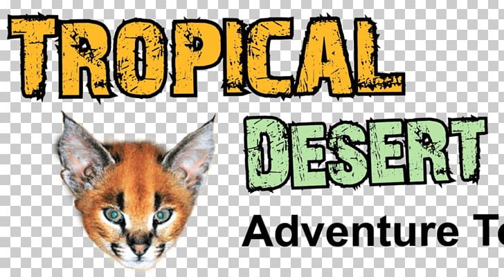 Whiskers Desert Wadi Rum Tiger Climbing PNG, Clipart, Animal, Brand, Canyoning, Carnivoran, Cat Free PNG Download