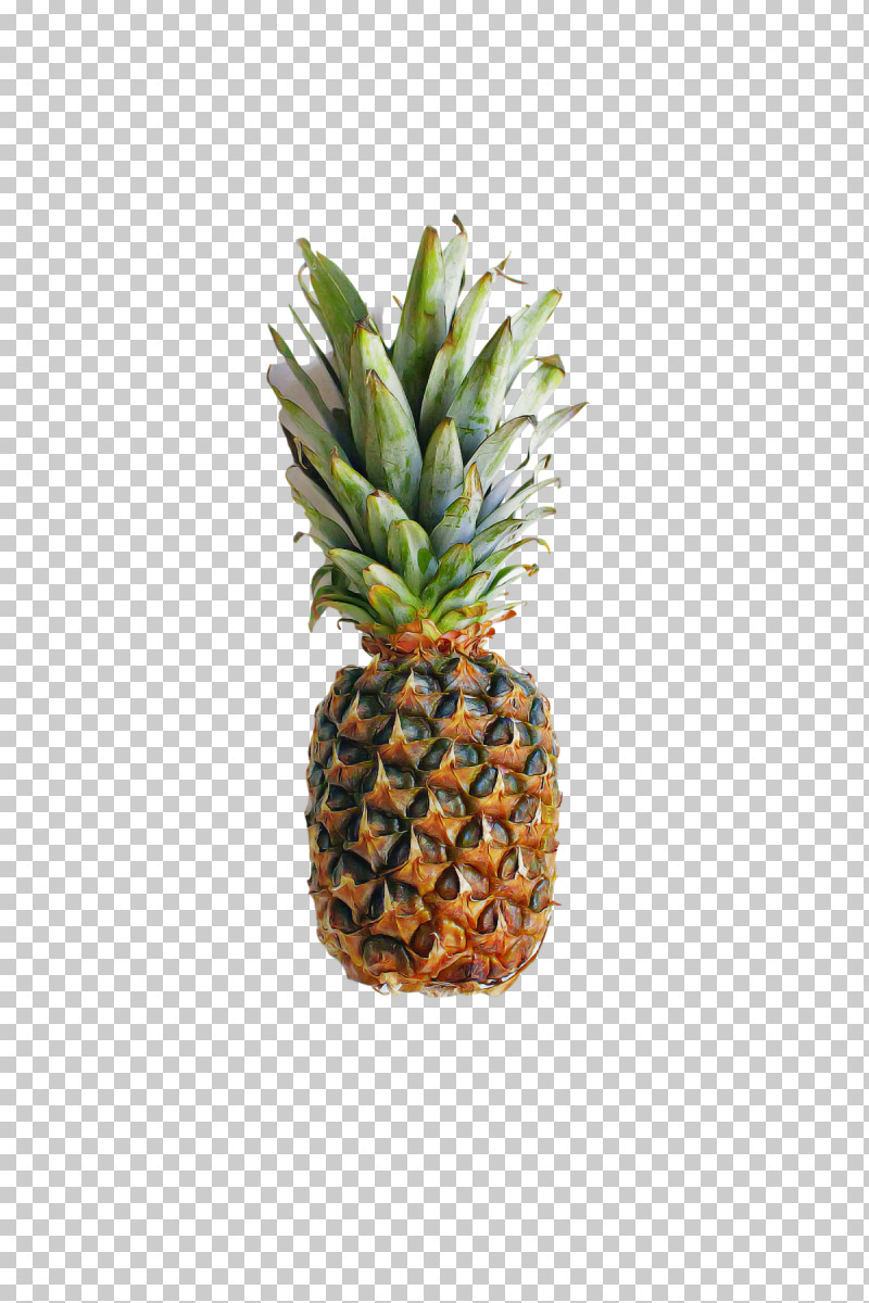 Pineapple PNG, Clipart, Biology, Flowerpot, Fruit, Hay Flowerpot With Saucer, Pineapple Free PNG Download